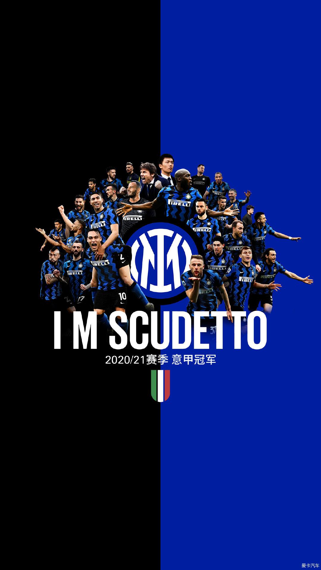 灰熊对莫兰 灰熊对莫兰