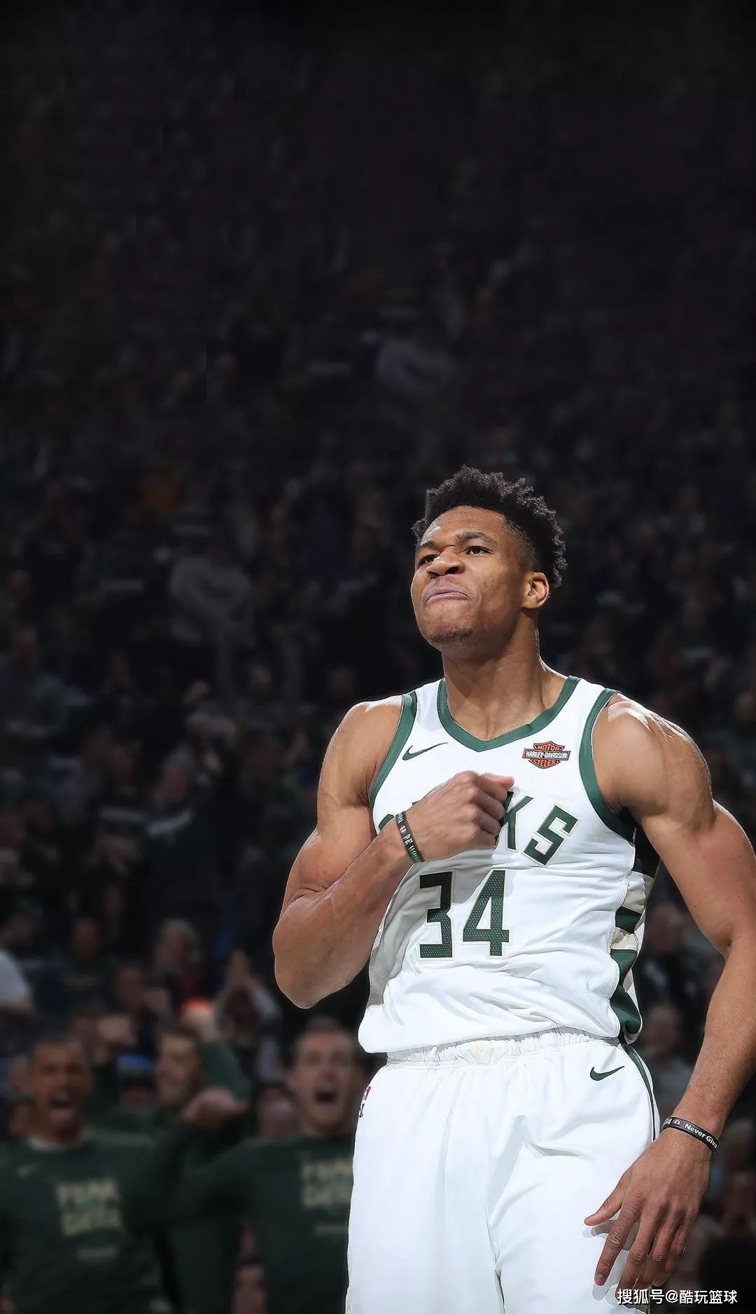 策提供模板 策提供模板